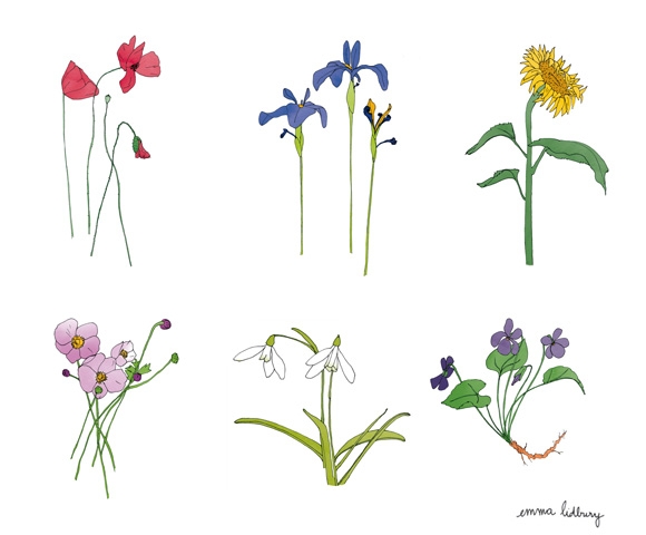 Série de fleurs, illustrations, Lyon
