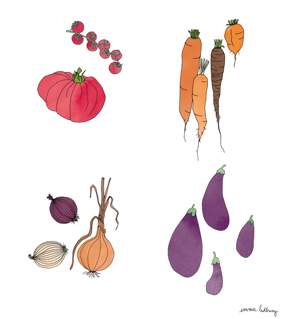 Série de légumes, illustrations, Lyon